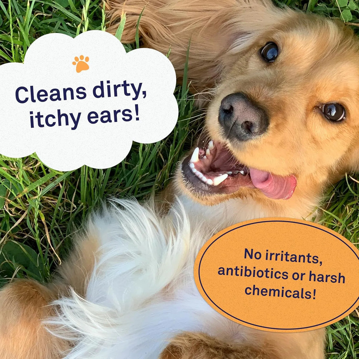 PETPOST - Petpost Dog Ear Cleaner Wipes Coconut Oil Aloe Solution 100 Toallitas - The Red Vitamin MX - Cuidado Del Oído De Perros - {{ shop.shopifyCountryName }}