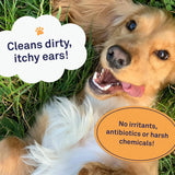 PETPOST - Petpost Dog Ear Cleaner Wipes Coconut Oil Aloe Solution 100 Toallitas - The Red Vitamin MX - Cuidado Del Oído De Perros - {{ shop.shopifyCountryName }}