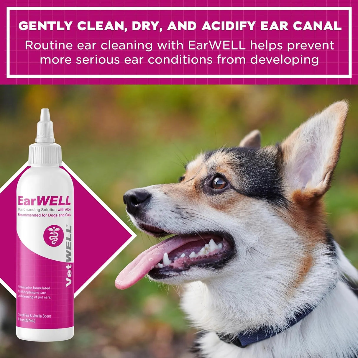 VETWELL - VetWELL Ear Cleaner for Dogs and Cats Sweet Pea Vanilla 8 Fl.Oz. - The Red Vitamin MX - Cuidado Del Oído De Perros - {{ shop.shopifyCountryName }}