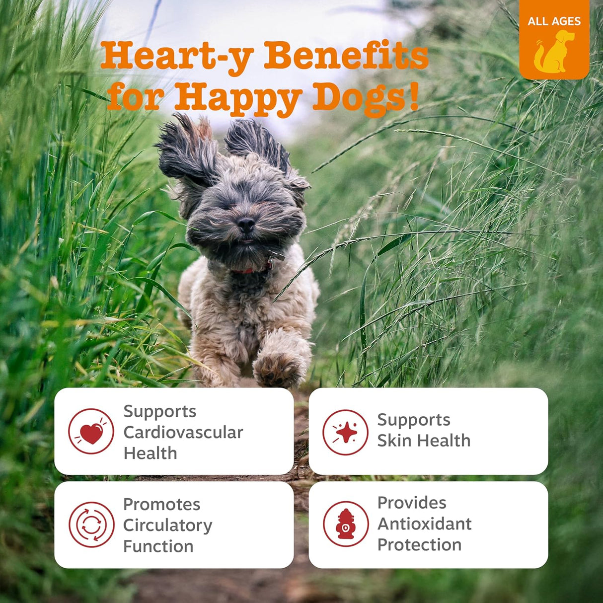 Zesty Paws Cardiovascular Support for Dogs Salmon 90 Masticables
