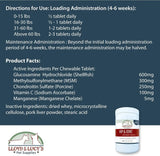 LLOYD & LUCY'S - Lloyd & Lucy's Hip and Joint Supplement for Dogs 180 Tabletas Masticables - The Red Vitamin MX - Cuidado De Cadera Y Articulaciones Para Perros - {{ shop.shopifyCountryName }}