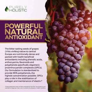 PURELY HOLISTIC - Purely Holistic Grape Seed Extract 20,000Mg. 250 Capsulas - The Red Vitamin MX - Suplementos Alimenticios - {{ shop.shopifyCountryName }}