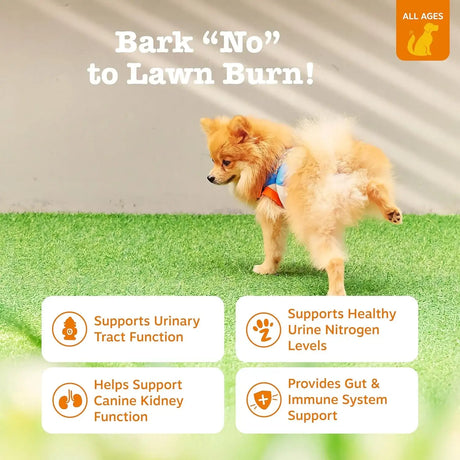 ZESTY PAWS - Zesty Paws Stay Green Bites for Dogs BEEF 90 Masticables - The Red Vitamin MX - Salud De Tracto Urinario Para Perros - {{ shop.shopifyCountryName }}