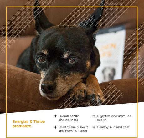 VETRISCIENCE - VetriScience Golden Years Energize and Thrive Complete Daily Multivitamin 60 Masticables - The Red Vitamin MX - Multivitamínicos Para Perros - {{ shop.shopifyCountryName }}
