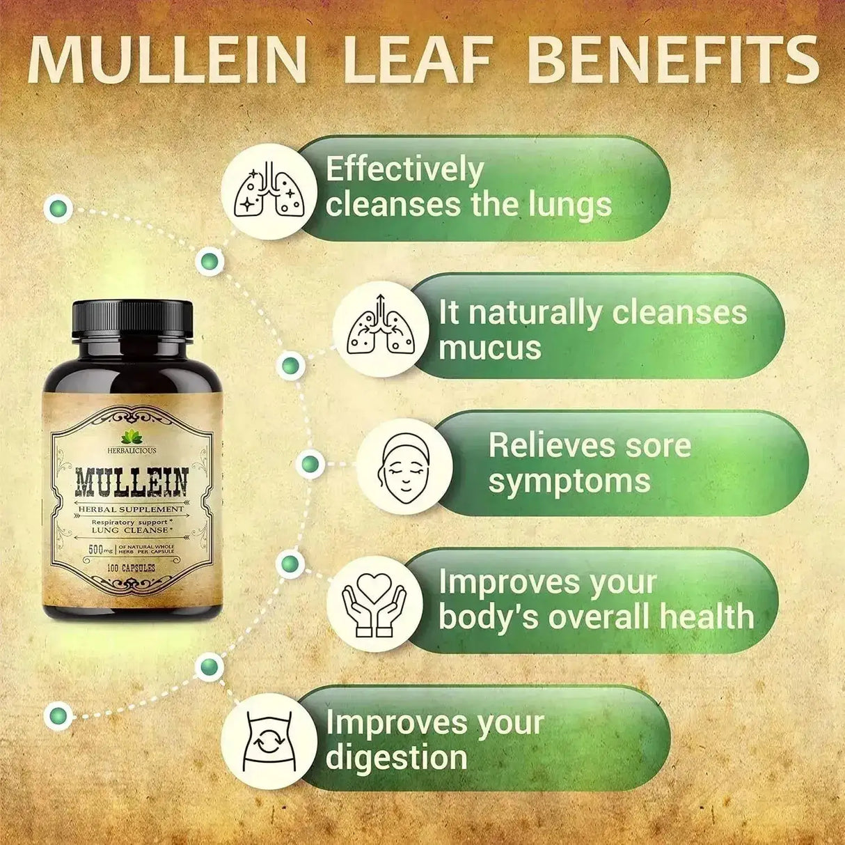 HERBALICIOUS - HERBALICIOUS Mullein Leaf Extract 100 Capsulas - The Red Vitamin MX - Suplementos Alimenticios - {{ shop.shopifyCountryName }}