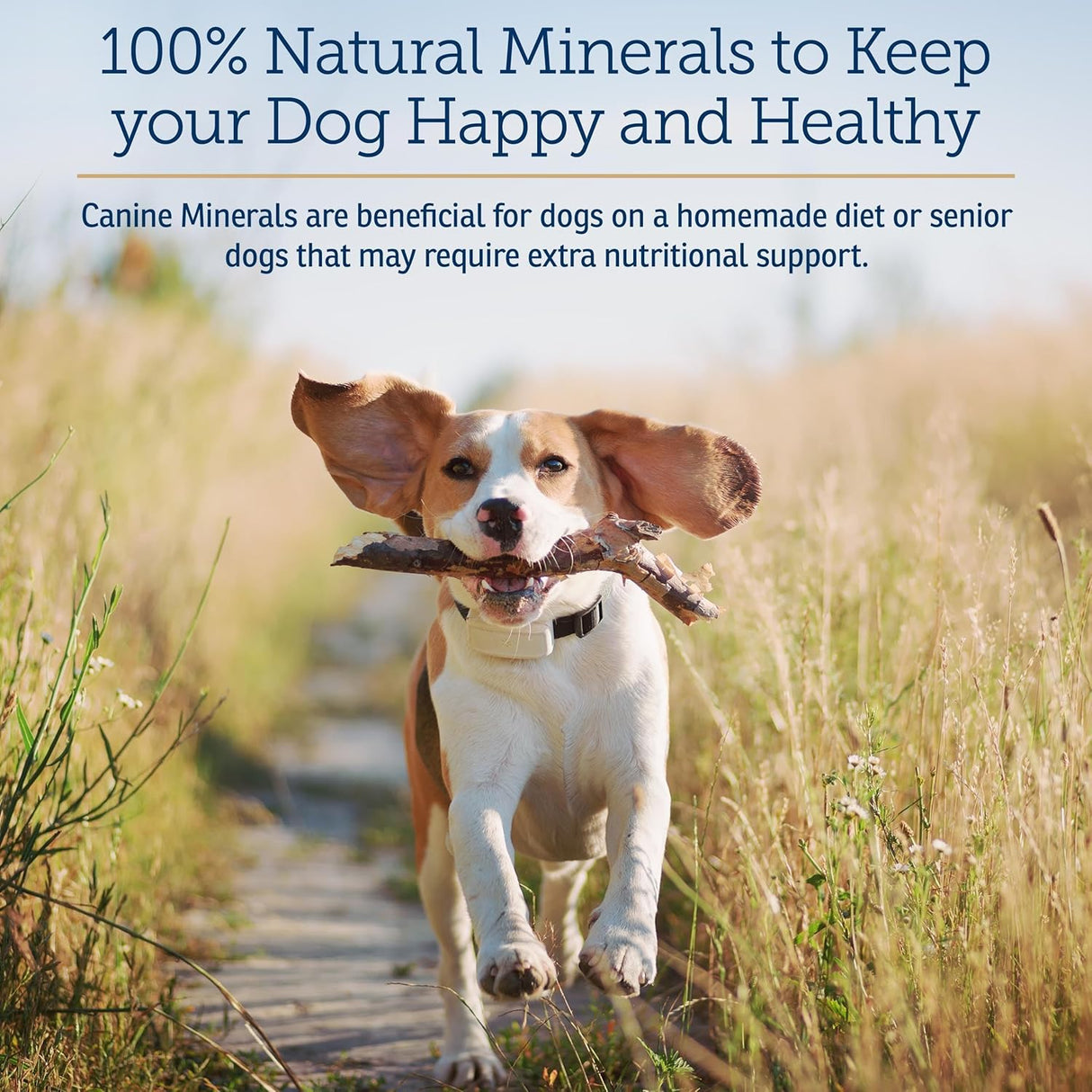 Rx Vitamins Canine Minerals 454Gr.