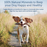 Rx Vitamins Canine Minerals 454Gr.