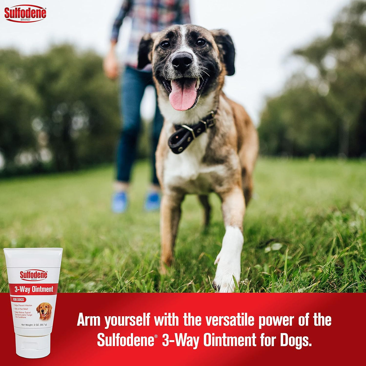 Sulfodene Dog Wound Care 3-Way Ointment 2 Oz.
