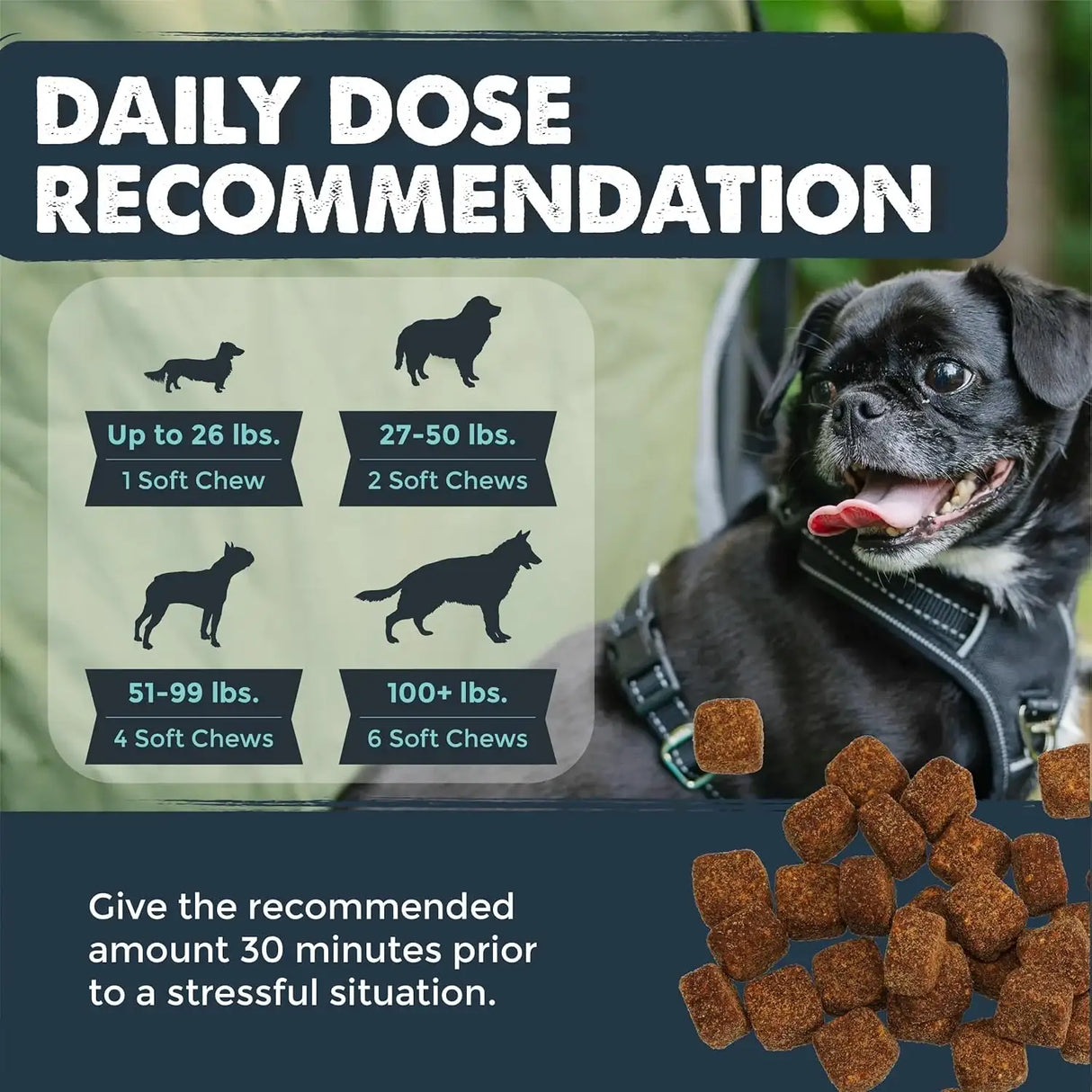 MIGHTY PAW - Mighty Paw Calming Chews for Dogs with Melatonin 120 Masticables 2 Pack - The Red Vitamin MX - Relajantes Para Perros - {{ shop.shopifyCountryName }}