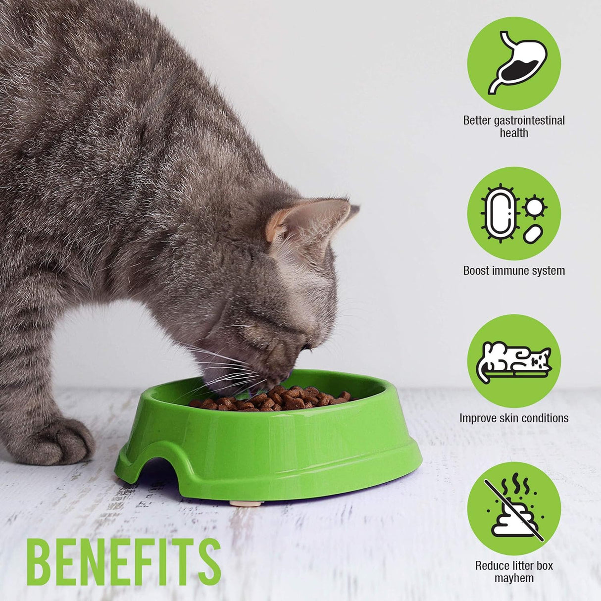 Skoon Probiotics Cat Supplement 60 Capsulas