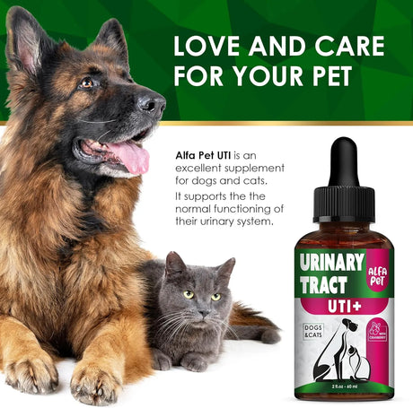 ALFA PET - Alfa Pet Urinary Tract Infection Treatment with Cranberry 2 Fl.Oz. - The Red Vitamin MX - Salud De Tracto Urinario Para Perros - {{ shop.shopifyCountryName }}