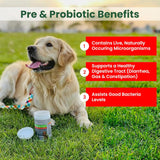 TRUSTWELL PAWMEDICA - TRUSTWELL PAWMEDICA Dog Probiotics and Digestive Enzymes 120 Masticables - The Red Vitamin MX - Probióticos Para Perros - {{ shop.shopifyCountryName }}