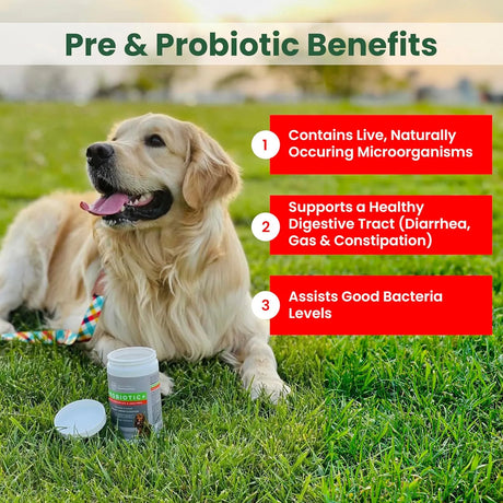 TRUSTWELL PAWMEDICA - TRUSTWELL PAWMEDICA Dog Probiotics and Digestive Enzymes 120 Masticables - The Red Vitamin MX - Probióticos Para Perros - {{ shop.shopifyCountryName }}
