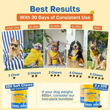 HAPPY PAWS - Happy Paws Cognitive Supplement for Dogs 100 Masticables 2 Pack - The Red Vitamin MX - Multivitamínicos Para Perros - {{ shop.shopifyCountryName }}