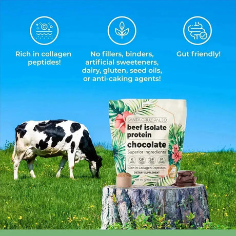 SANTA CRUZ PALEO - Santa Cruz Paleo Beef Isolate Protein Powder Chocolate 585Gr. - The Red Vitamin MX - Suplementos Alimenticios - {{ shop.shopifyCountryName }}