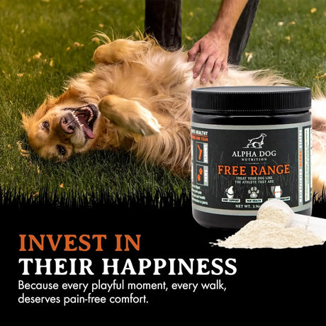 ALPHA DOG NUTRITION - Alpha Dog Nutrition Free Range Joint Health Enhancer Supplement Powder for Dogs 109Gr. - The Red Vitamin MX - Cuidado De Cadera Y Articulaciones Para Perros - {{ shop.shopifyCountryName }}