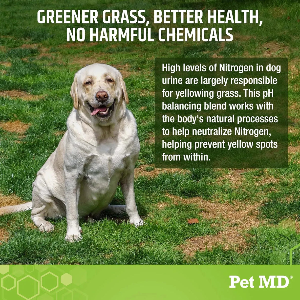 PET MD - Pet MD Lawn Aid Chews No More Yellow Spots 120 Masticables - The Red Vitamin MX - Salud De Tracto Urinario Para Perros - {{ shop.shopifyCountryName }}