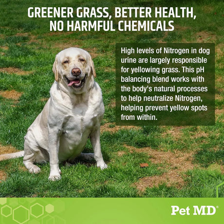 PET MD - Pet MD Lawn Aid Chews No More Yellow Spots 120 Masticables - The Red Vitamin MX - Salud De Tracto Urinario Para Perros - {{ shop.shopifyCountryName }}
