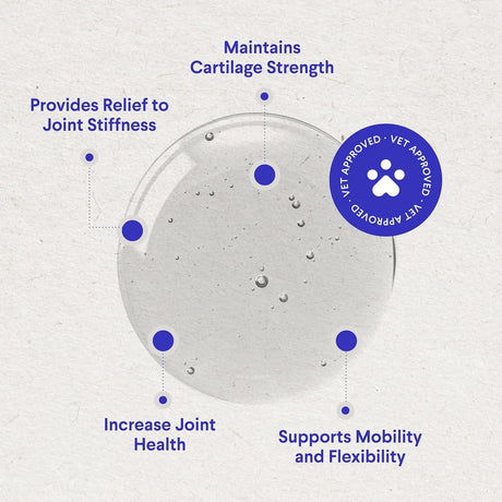 WONDER PAWS - WONDER PAWS Premium Liquid Glucosamine for Dogs Strength Joint Support 32 Fl.Oz. - The Red Vitamin MX - Cuidado De Cadera Y Articulaciones Para Perros - {{ shop.shopifyCountryName }}