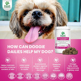 DOGGIE DAILIES - Doggie Dailies Skin & Coat Supplement + Antioxidant Support Salmon 225 Masticables - The Red Vitamin MX - Aceite De Pescado Para Perros - {{ shop.shopifyCountryName }}