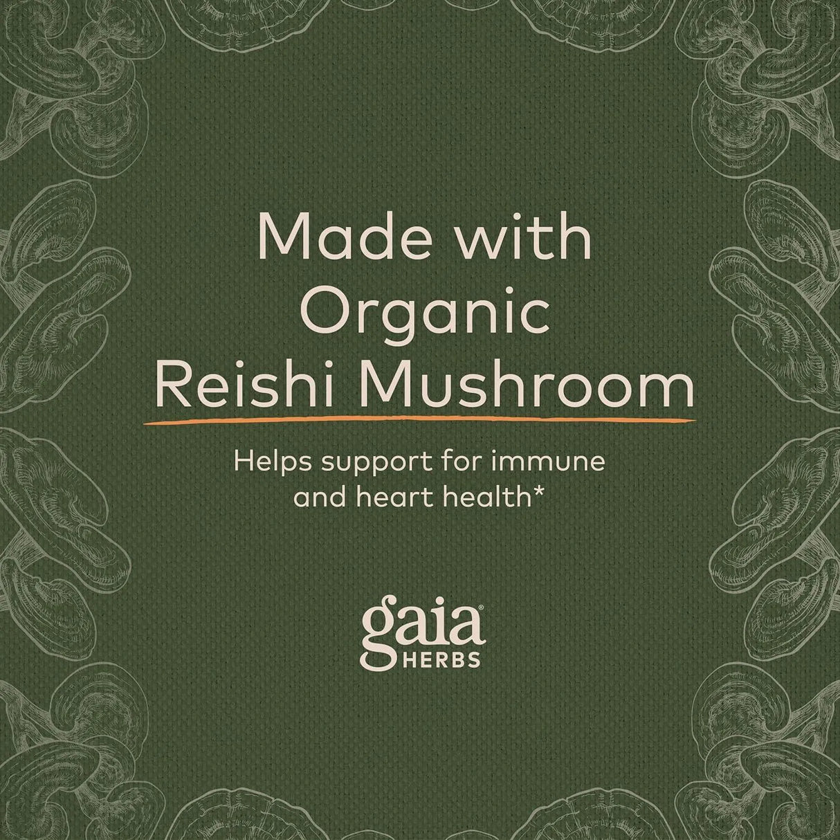 GAIA HERBS - Gaia Herbs Respiratory Mushroom Blend 40 Capsulas - The Red Vitamin MX - Suplementos Alimenticios - {{ shop.shopifyCountryName }}