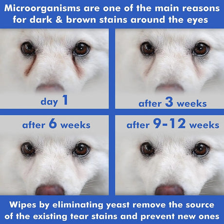 ARAVA - Arava Pet Eye Wipes for Dogs Cats Puppies & Kittens 100 Toallitas - The Red Vitamin MX - Cuidado De Los Ojos De Los Perros - {{ shop.shopifyCountryName }}