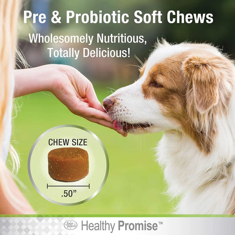 FOUR PAWS - Four Paws Healthy Promise Pre and Probiotics for Dogs Soft Chews 90 Masticables - The Red Vitamin MX - Probióticos Para Perros - {{ shop.shopifyCountryName }}