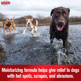 SULFODENE - Sulfodene Hot Spot & Itch Relief Medicated Spray for Dog 8 Fl.Oz. - The Red Vitamin MX - Remedios Para La Picazón De Perros - {{ shop.shopifyCountryName }}