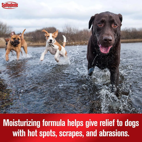 SULFODENE - Sulfodene Hot Spot & Itch Relief Medicated Spray for Dog 8 Fl.Oz. - The Red Vitamin MX - Remedios Para La Picazón De Perros - {{ shop.shopifyCountryName }}