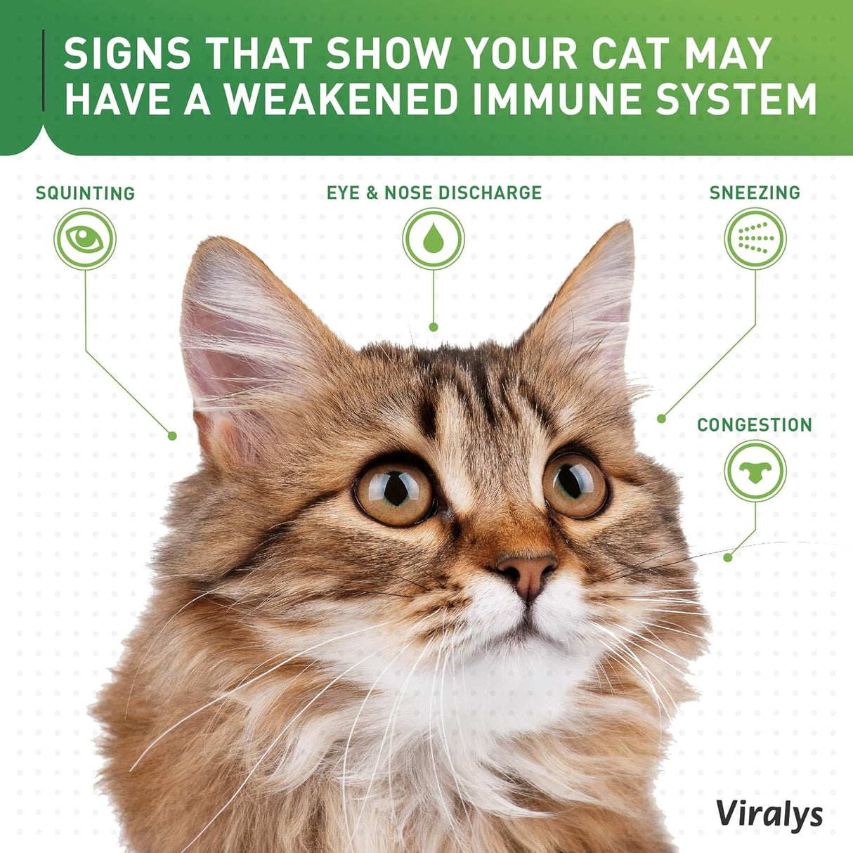 Vetoquinol Viralys Daily L-Lysine Powder for Cats and Kittens 100Gr.