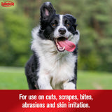Sulfodene Dog Wound Care 3-Way Ointment 2 Oz.