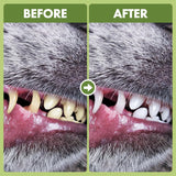 WUFFWELL - WuffWell Dog Teeth Cleaning Powder with Added Probiotics 130Gr. - The Red Vitamin MX - Cuidado Dental Para Perros - {{ shop.shopifyCountryName }}