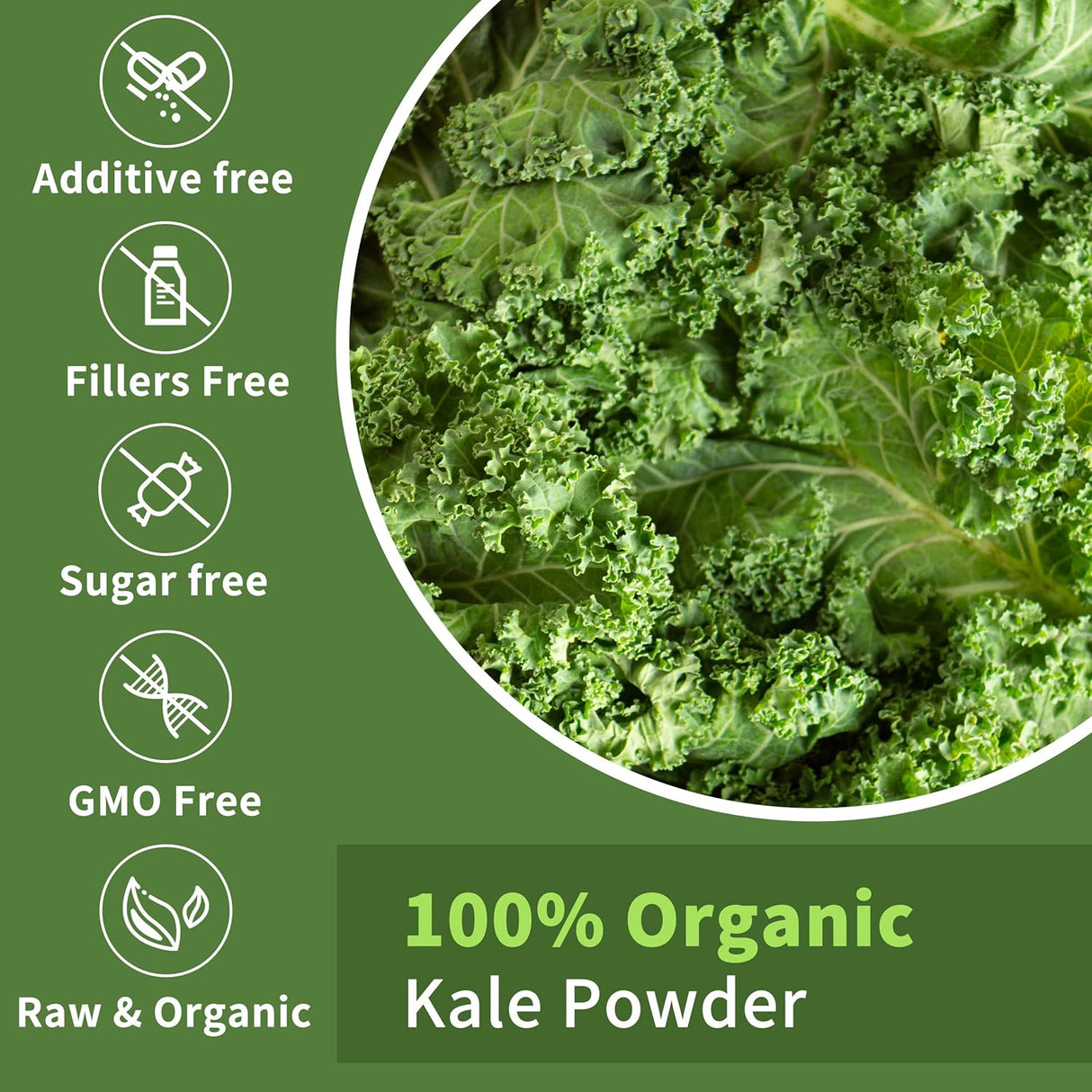 Hudetex Kale Powder Organic 226Gr.