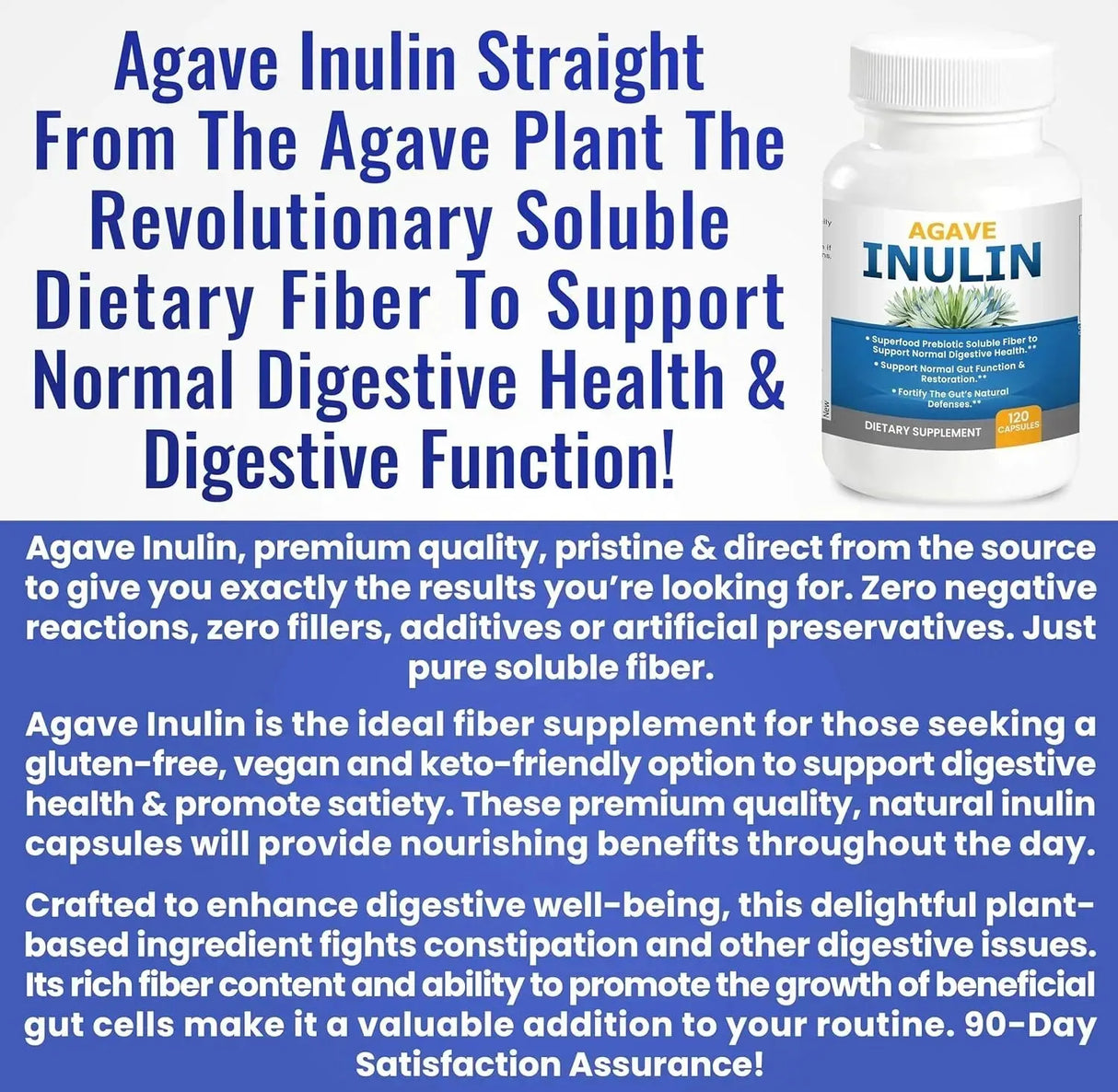 KIDNEY RESTORE - Kidney Restore Agave Inulin 120 Capsulas - The Red Vitamin MX - Suplementos Alimenticios - {{ shop.shopifyCountryName }}