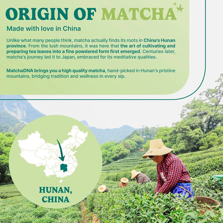 MATCHA DNA - Matcha DNA Sweetened Matcha Powder 120Gr. - The Red Vitamin MX - Suplementos Alimenticios - {{ shop.shopifyCountryName }}