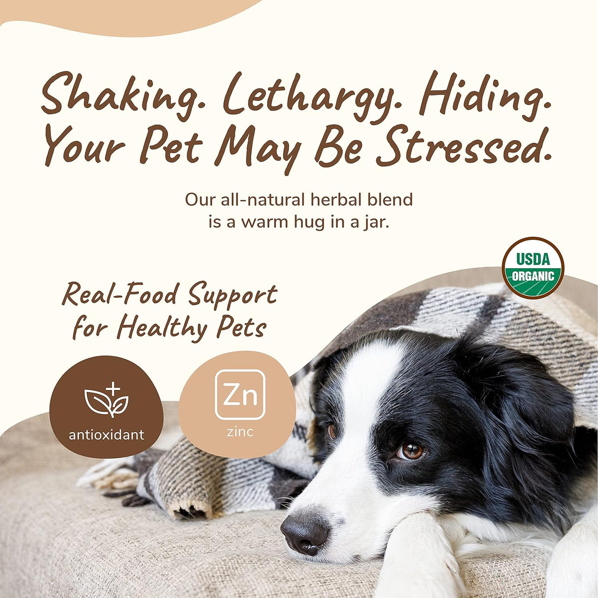 kin+kind Healthy Calm Supplement for Dogs & Cats 113Gr.