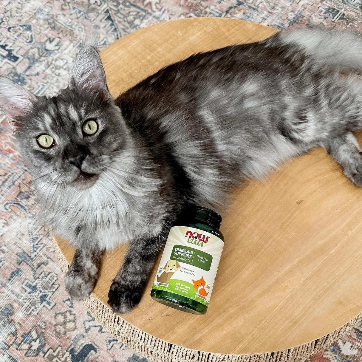 NOW SUPPLEMENTS - NOW Foods Pet Health Omega 3 180 Capsulas Blandas - The Red Vitamin MX - Aceite De Pescado Para Perros - {{ shop.shopifyCountryName }}