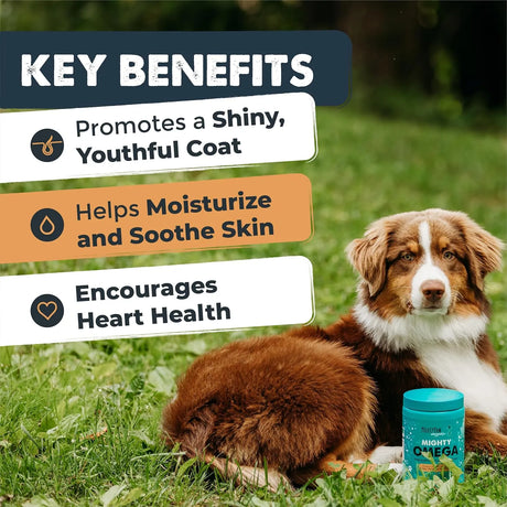 MIGHTY PAW - Mighty Paw Waggables Mighty Omega Bacon Flavor 120 Masticables - The Red Vitamin MX - Aceite De Pescado Para Perros - {{ shop.shopifyCountryName }}