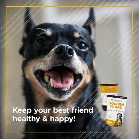 VETRISCIENCE - VetriScience Golden Years Energize and Thrive Complete Daily Multivitamin 60 Masticables - The Red Vitamin MX - Multivitamínicos Para Perros - {{ shop.shopifyCountryName }}