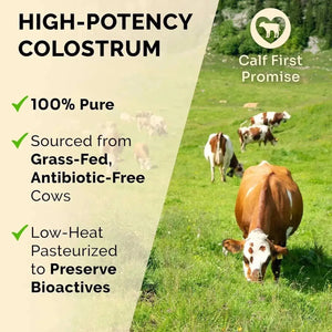 SCHIFFER HEALTH - SCHIFFER HEALTH Premium Colostrum Unflavored 90Gr. - The Red Vitamin MX - Suplementos Alimenticios - {{ shop.shopifyCountryName }}