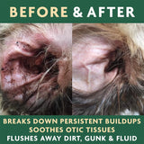 VET ORGANICS - Vet Organics EcoEars Dog Ear Cleaner Solution 8 Fl.Oz. 2 Pack - The Red Vitamin MX - Cuidado Del Oído De Perros - {{ shop.shopifyCountryName }}