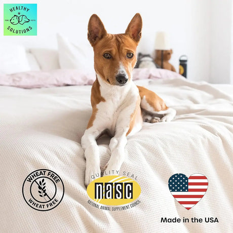 HEALTHY SOLUTIONS FOR PETS - Healthy Solutions For Pets Glucosamine for Dogs Maintenance Dog Hip & Joint 60 Masticables - The Red Vitamin MX - Cuidado De Cadera Y Articulaciones Para Perros - {{ shop.shopifyCountryName }}