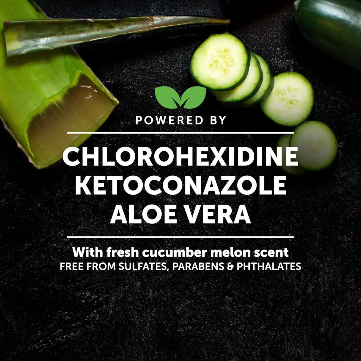 PET HONESTY - Pet Honesty Chlorhexidine Cat & Dog Seasonal Itch Relief Shampoo 16 Fl.Oz. - The Red Vitamin MX - Remedios Para La Picazón De Perros - {{ shop.shopifyCountryName }}