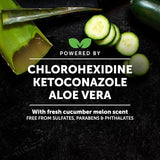 PET HONESTY - Pet Honesty Chlorhexidine Cat & Dog Seasonal Itch Relief Shampoo 16 Fl.Oz. - The Red Vitamin MX - Remedios Para La Picazón De Perros - {{ shop.shopifyCountryName }}