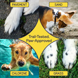 FINN - Finn Paw Hero Natural Revitalizing Dog Paw Balm 1.75 Oz. - The Red Vitamin MX - Remedios Para La Picazón De Perros - {{ shop.shopifyCountryName }}
