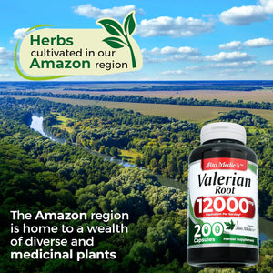 FITO MEDIC´S - FITO MEDIC'S Lab Valerian Root 200 Capsulas - The Red Vitamin MX - Suplementos Alimenticios - {{ shop.shopifyCountryName }}