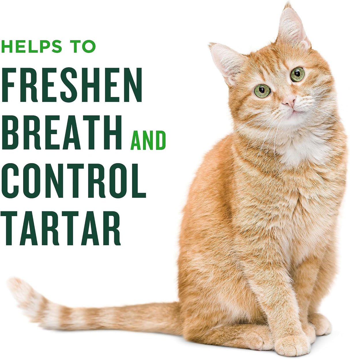Minties Dental Treats for Cats Chicken Flavored 283Gr.