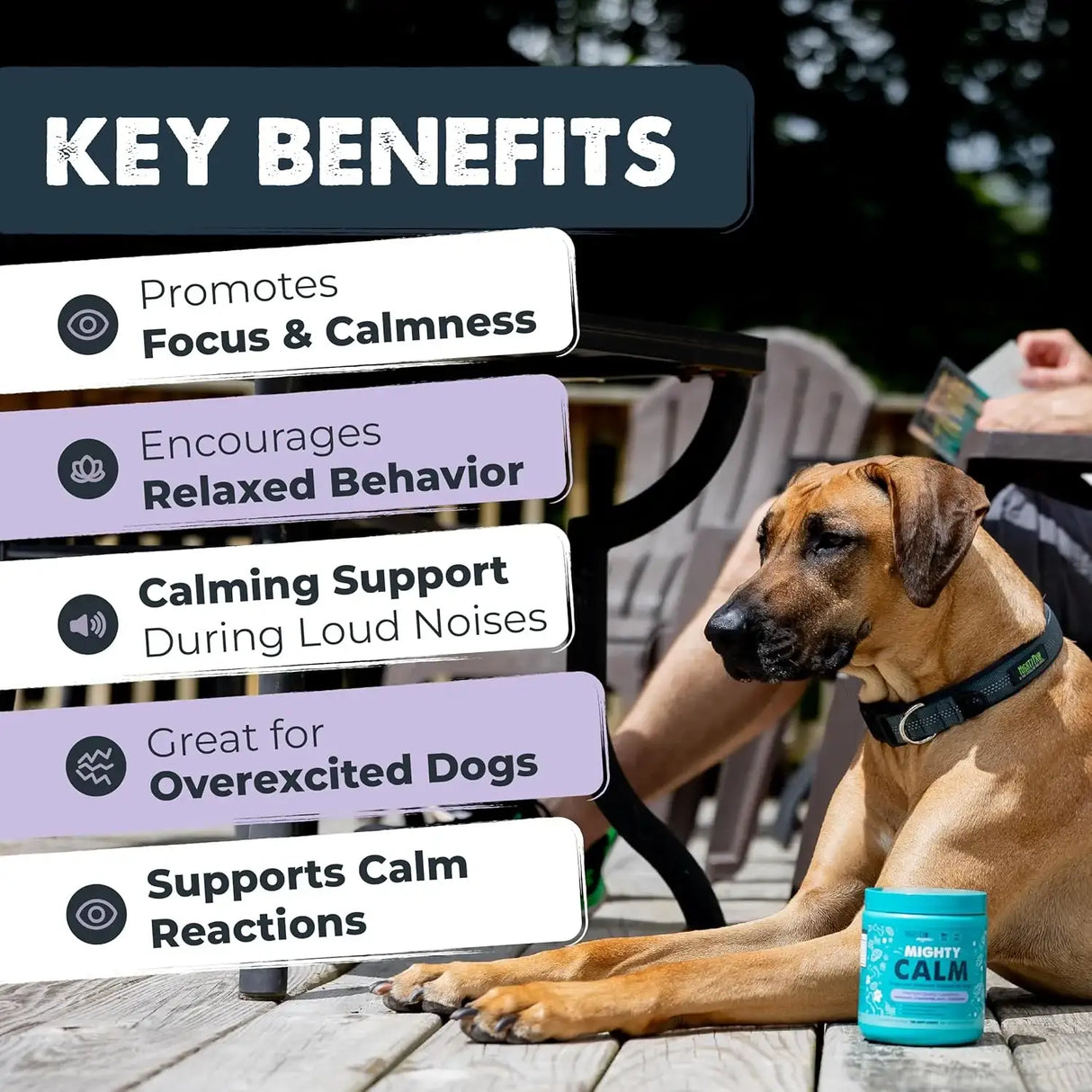 MIGHTY PAW - Mighty Paw Calming Chews for Dogs with Melatonin 120 Masticables - The Red Vitamin MX - Relajantes Para Perros - {{ shop.shopifyCountryName }}