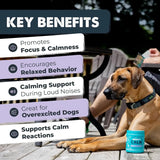 MIGHTY PAW - Mighty Paw Calming Chews for Dogs with Melatonin 120 Masticables - The Red Vitamin MX - Relajantes Para Perros - {{ shop.shopifyCountryName }}