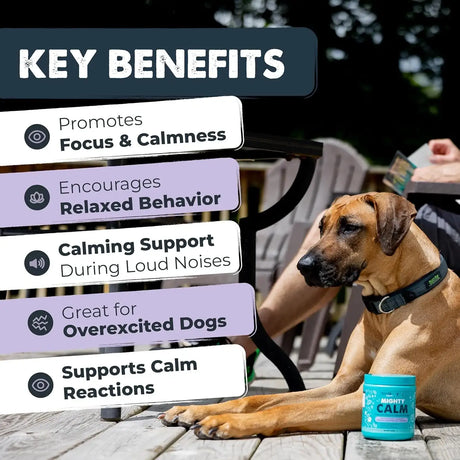 MIGHTY PAW - Mighty Paw Calming Chews for Dogs with Melatonin 120 Masticables - The Red Vitamin MX - Relajantes Para Perros - {{ shop.shopifyCountryName }}